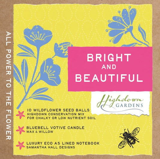 Sussex Seed Balls "Bright & Beautiful" Gift Box